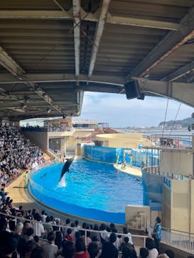 新江ノ島水族館に投稿された画像（2022/8/23）