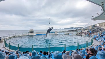 鴨川シーワールドに投稿された画像（2022/8/22）