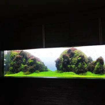 すみだ水族館に投稿された画像（2022/8/23）