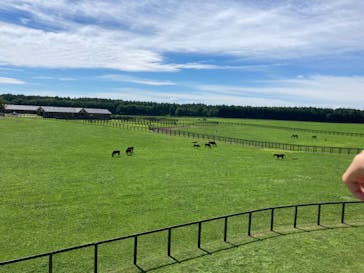 ノーザンホースパークに投稿された画像（2022/8/23）