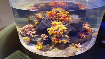 九十九島水族館海きららに投稿された画像（2022/8/23）