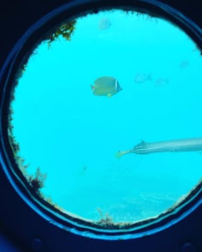 串本海中公園水族館に投稿された画像（2022/8/23）