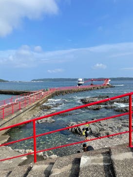 串本海中公園水族館に投稿された画像（2022/8/23）