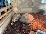 体感型動物園iZooに投稿された画像（2022/8/23）