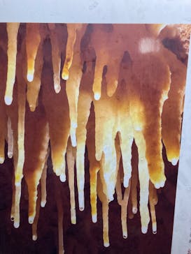 あぶくま洞に投稿された画像（2022/8/23）