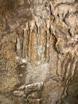 あぶくま洞に投稿された画像（2022/8/23）