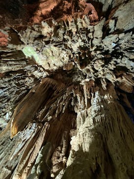 あぶくま洞に投稿された画像（2022/8/23）