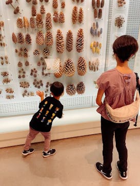 国立科学博物館に投稿された画像（2022/8/23）