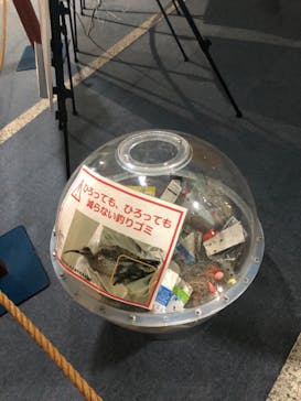 名古屋港水族館に投稿された画像（2022/8/23）