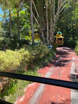 ナゴパイナップルパークに投稿された画像（2022/8/23）