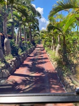 ナゴパイナップルパークに投稿された画像（2022/8/23）