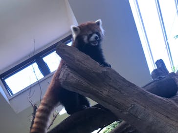 那須どうぶつ王国に投稿された画像（2022/8/23）