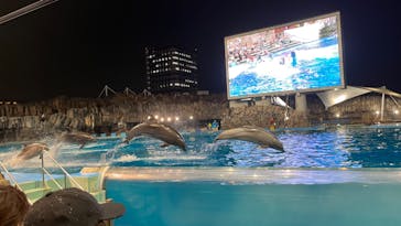 名古屋港水族館に投稿された画像（2022/8/23）
