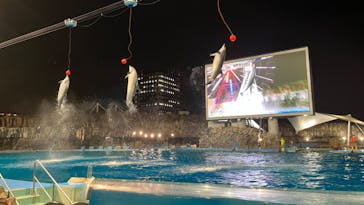 名古屋港水族館に投稿された画像（2022/8/23）