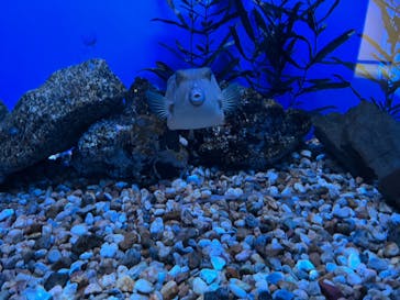 名古屋港水族館に投稿された画像（2022/8/23）