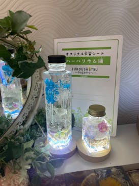 ずこうしつ〜sugamo〜に投稿された画像（2022/8/23）