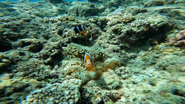 武藤潜水に投稿された画像（2022/8/23）