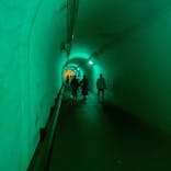 大地の芸術祭 実行委員会に投稿された画像（2022/8/23）