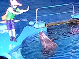 仙台うみの杜水族館に投稿された画像（2022/8/23）