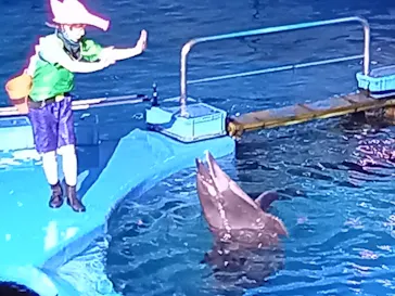 仙台うみの杜水族館に投稿された画像（2022/8/23）