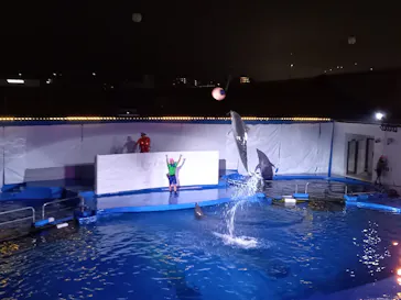 仙台うみの杜水族館に投稿された画像（2022/8/23）