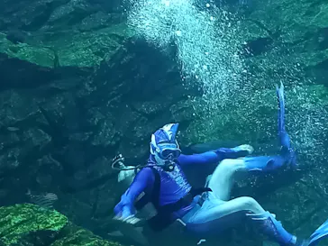 仙台うみの杜水族館に投稿された画像（2022/8/23）
