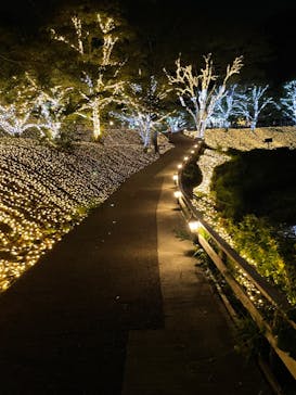 NESTA RESORT KOBE（ネスタリゾート神戸）に投稿された画像（2022/8/23）