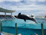 鴨川シーワールドに投稿された画像（2022/8/23）
