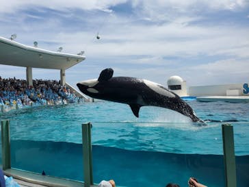 鴨川シーワールドに投稿された画像（2022/8/23）