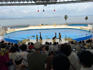 マリンワールド海の中道に投稿された画像（2022/8/23）