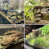 京都水族館に投稿された画像（2022/8/23）