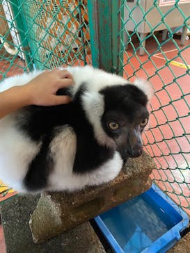 那須ワールドモンキーパークに投稿された画像（2022/8/23）