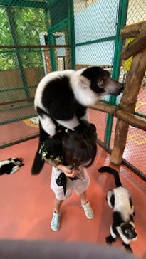 那須ワールドモンキーパークに投稿された画像（2022/8/23）