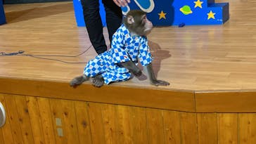 那須ワールドモンキーパークに投稿された画像（2022/8/23）