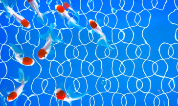 すみだ水族館に投稿された画像（2022/8/23）