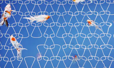 すみだ水族館に投稿された画像（2022/8/23）