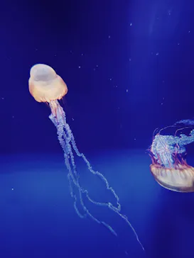 すみだ水族館に投稿された画像（2022/8/23）