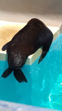 アクアワールド茨城県大洗水族館に投稿された画像（2022/8/23）