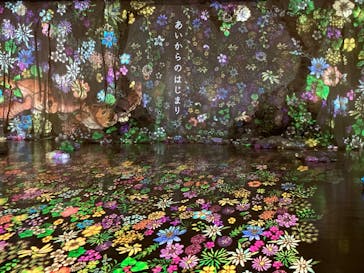 安祥文化のさとに投稿された画像（2022/8/23）