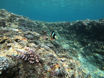 武藤潜水に投稿された画像（2022/8/23）