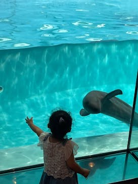 マリンワールド海の中道に投稿された画像（2022/8/23）