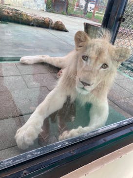 姫路セントラルパークに投稿された画像（2022/8/23）