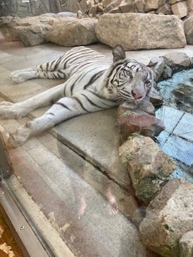 姫路セントラルパークに投稿された画像（2022/8/23）