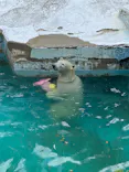 天王寺動物園に投稿された画像（2022/8/24）