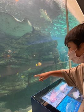 株式会社Gに投稿された画像（2022/8/24）