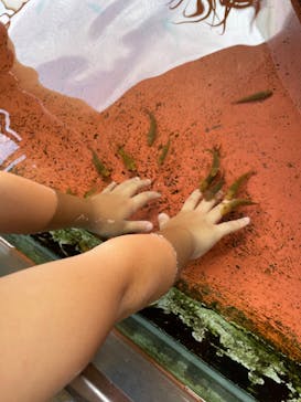 株式会社Gに投稿された画像（2022/8/24）