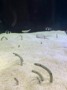 株式会社Gに投稿された画像（2022/8/24）