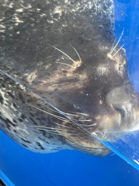 上越市立水族博物館 うみがたりに投稿された画像（2022/8/24）