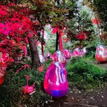 チームラボどんぐりの森の呼応する生命に投稿された画像（2022/8/24）