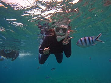 DIVING-SHOP SUNSに投稿された画像（2022/8/24）